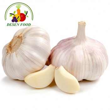 Fresh Garlic
