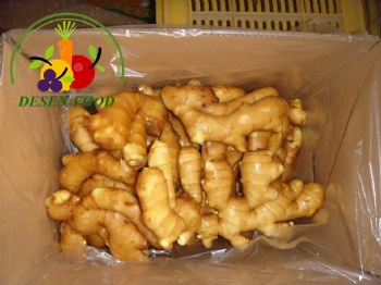 Fresh Ginger
