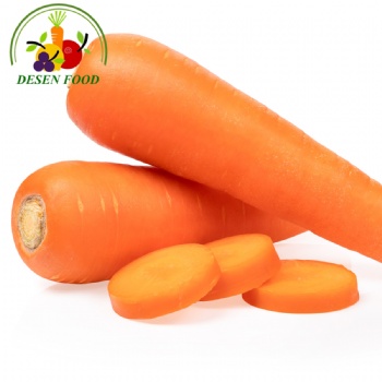 Fresh Carrot