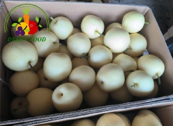 Fresh Crown Pear