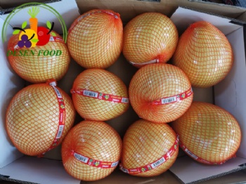 Fresh Pomelo
