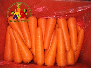 Fresh Carrot