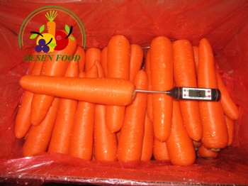 Fresh Carrot